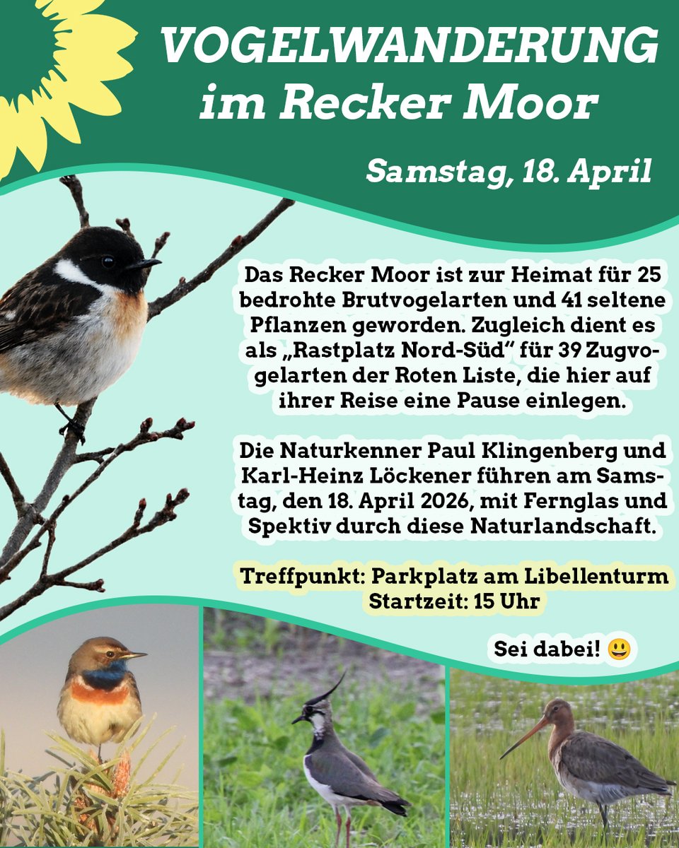 Komm doch vorbei! 🙂

#natur #recke #moor #vögel #ibbenbueren #grueneibb #gemeinsamstark