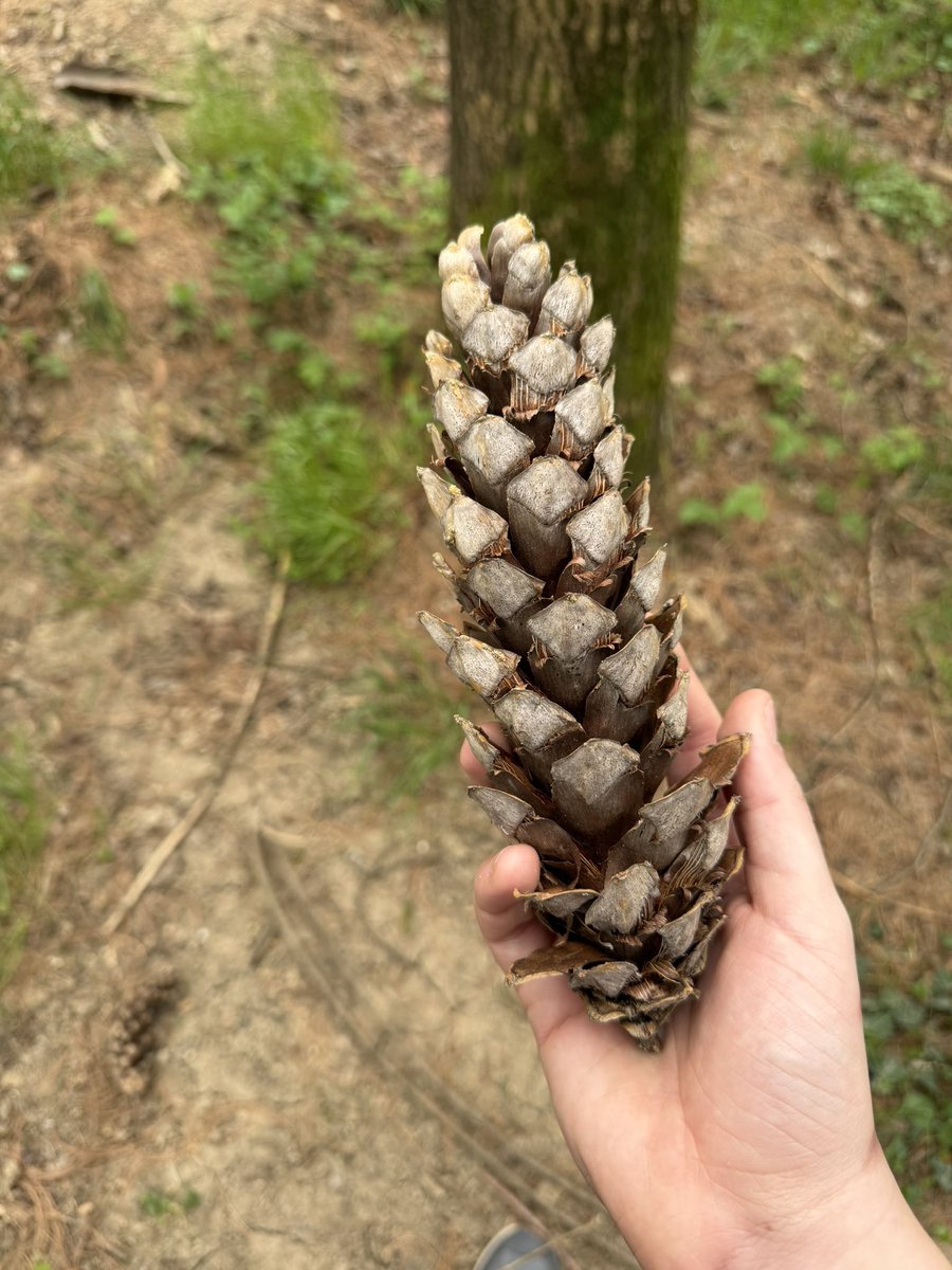 Cloud 🌧 tweet media