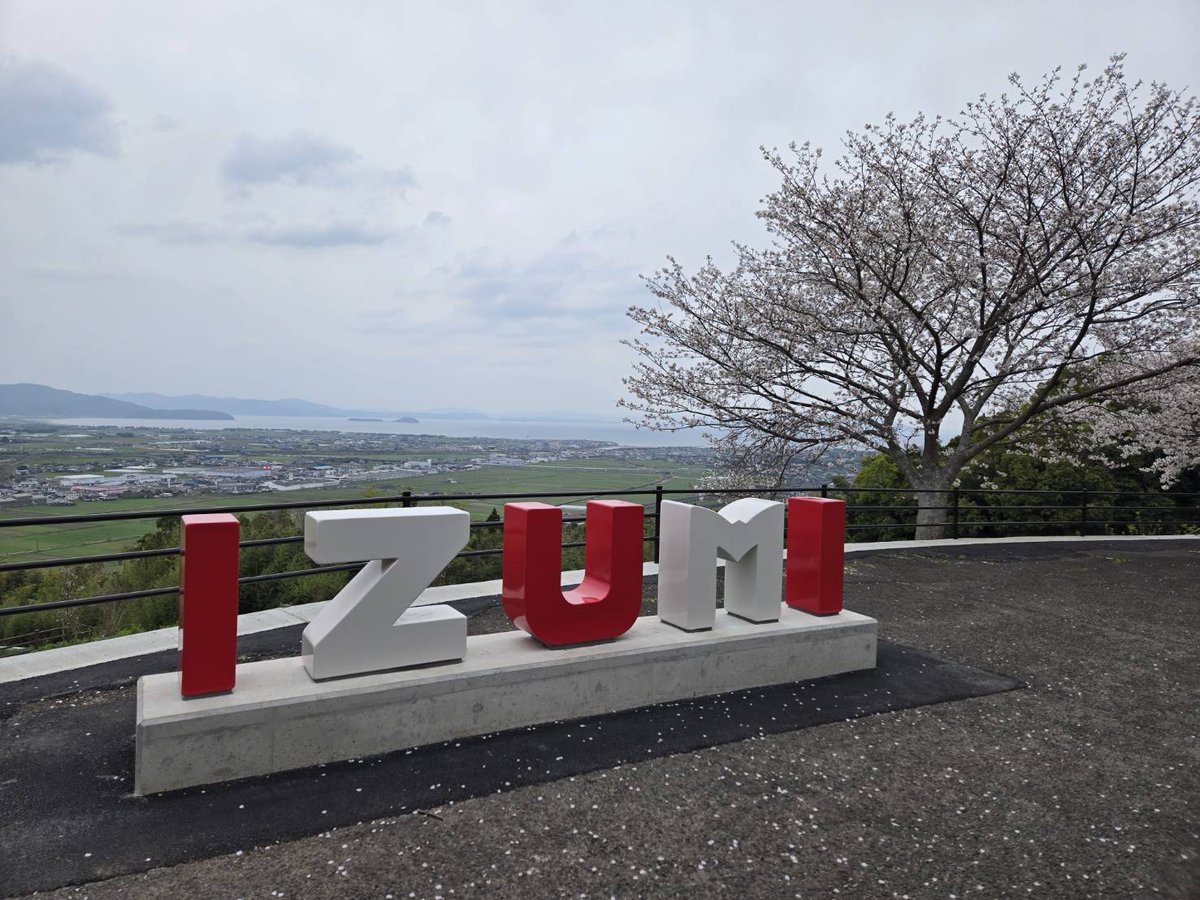 keika_jc's tweet photo. 【惜春】（せきしゅん　Lamenting the end of spring　121✕58㎜）This is     written by CHIZAN.
​I wish I could have enjoyed the cherry blossoms longer.#chizan #ainokai 
#calligraphy #cherryblossom #kagoshima #izumi https://t.co/wNLVGq2CNY