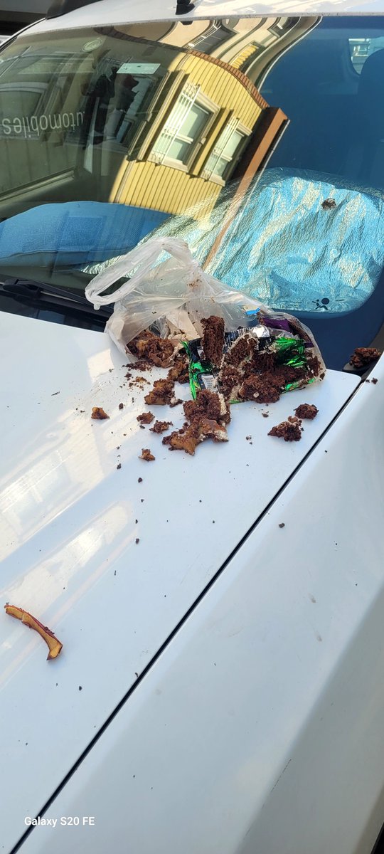 Cml_Mustafa1's tweet photo. Üsküdar Ferah mh.dereci sok 40 nolu binadan tespit edemediğimiz bir daire sakini ş.yüksel batur sokağa cam yada balkondan çöp atıyor.Son marifetide bu.Sorumlusunun bulunmasını rica ediyoruz
@mustafaciftcitr
@ https://t.co/hfRt58reoj