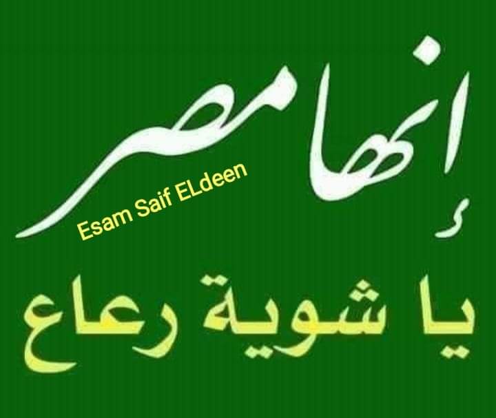 محمودقناوي tweet media