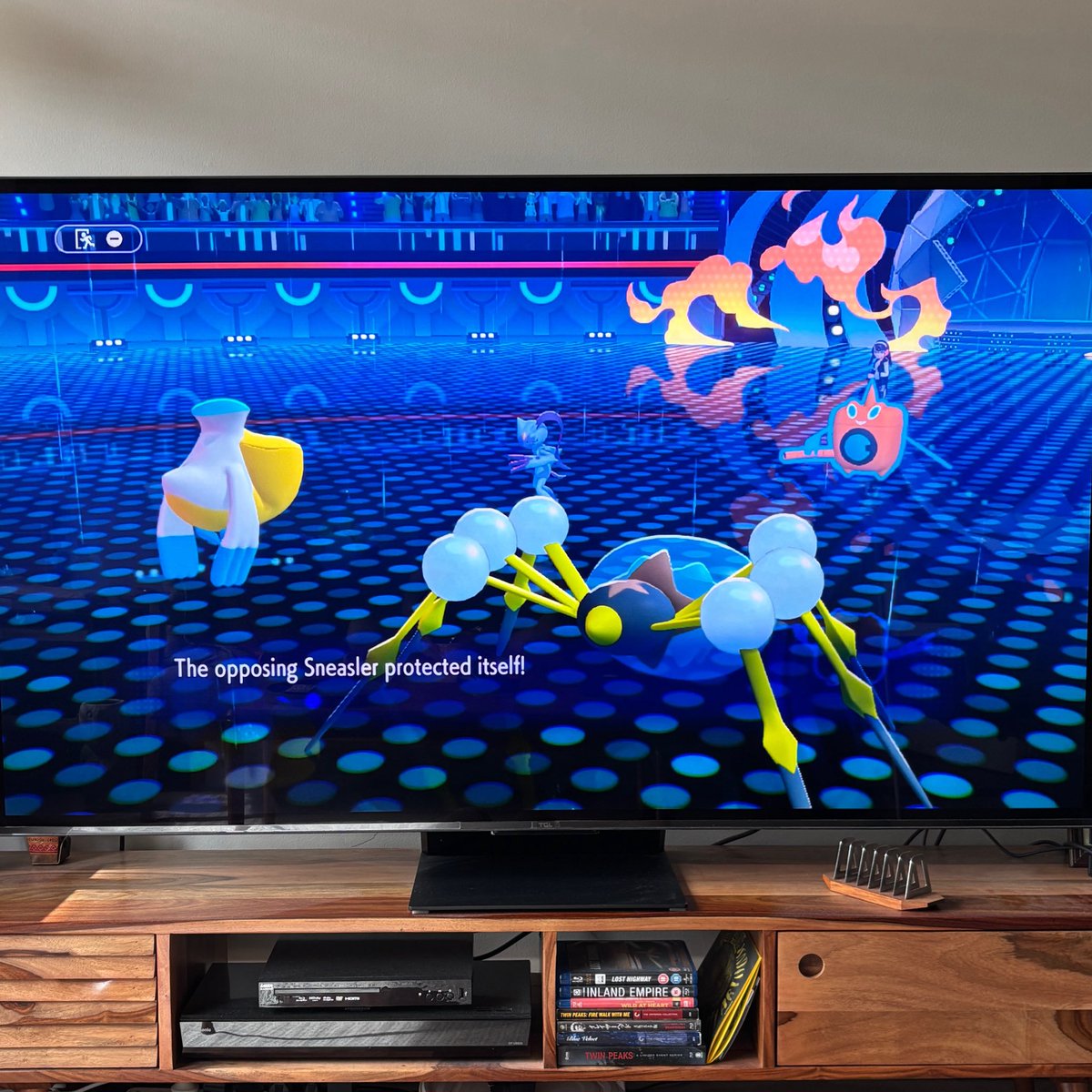 mangoSkull's tweet photo. Have not even used my Switch since probably 2021 (SwSh was my last game), but finally downloaded Champions this weekend and I’m hooked again

Building a rain / TR team with the Pelipper and Araquanid I caught &amp; trained back in 2016 (Sun)

Now if we can have scald gastrodon back… https://t.co/XLPHyZKBns