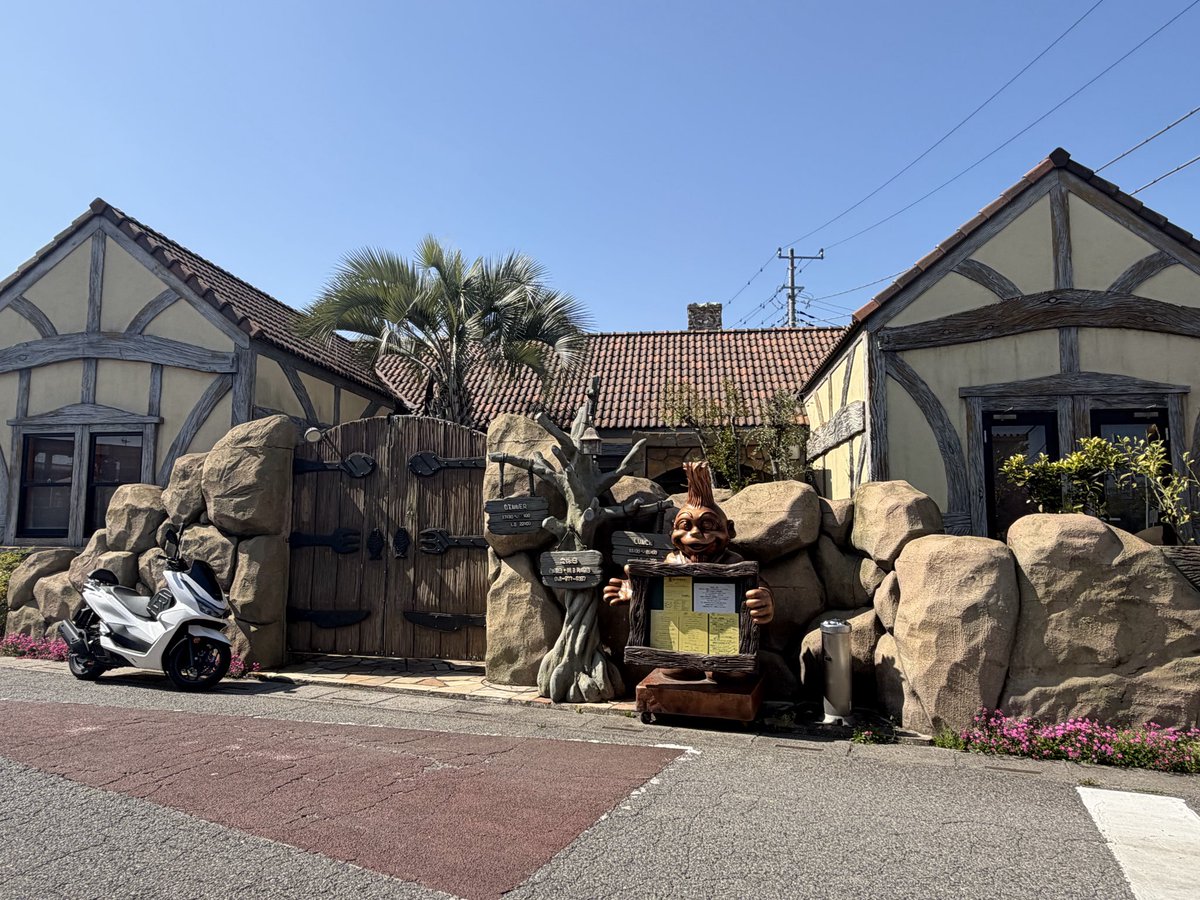 ハネルです。 tweet media