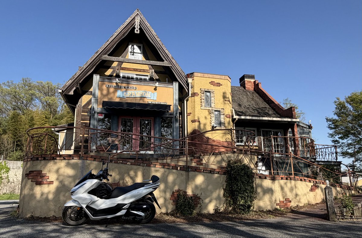 ハネルです。 tweet media