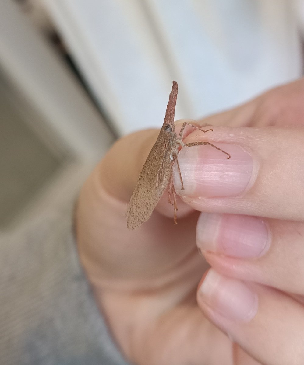 SwindlenAid tweet media