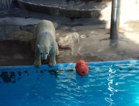 こちらちゃん tweet media