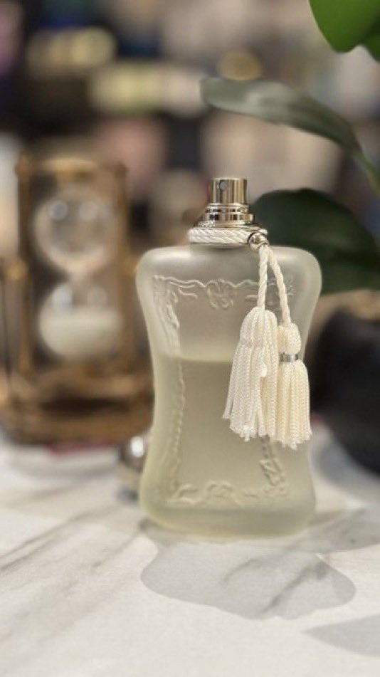 أبو سعد الراجحي tweet media