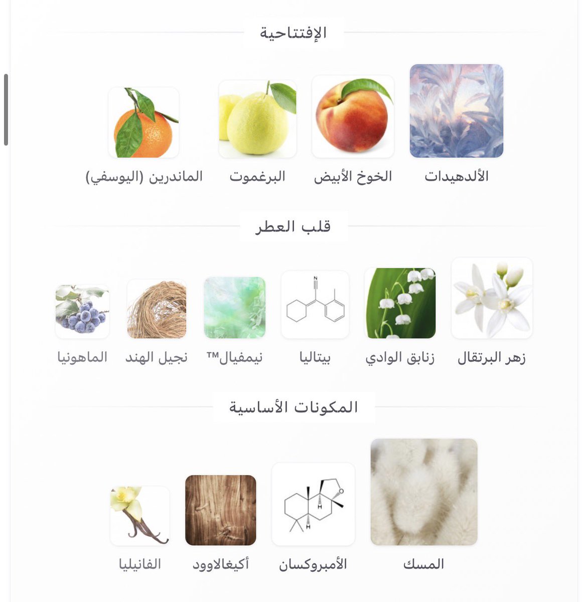 أبو سعد الراجحي tweet media