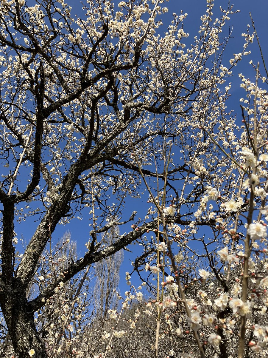 えりなAYA世代🧠動画編集CAMP卒業生 tweet media