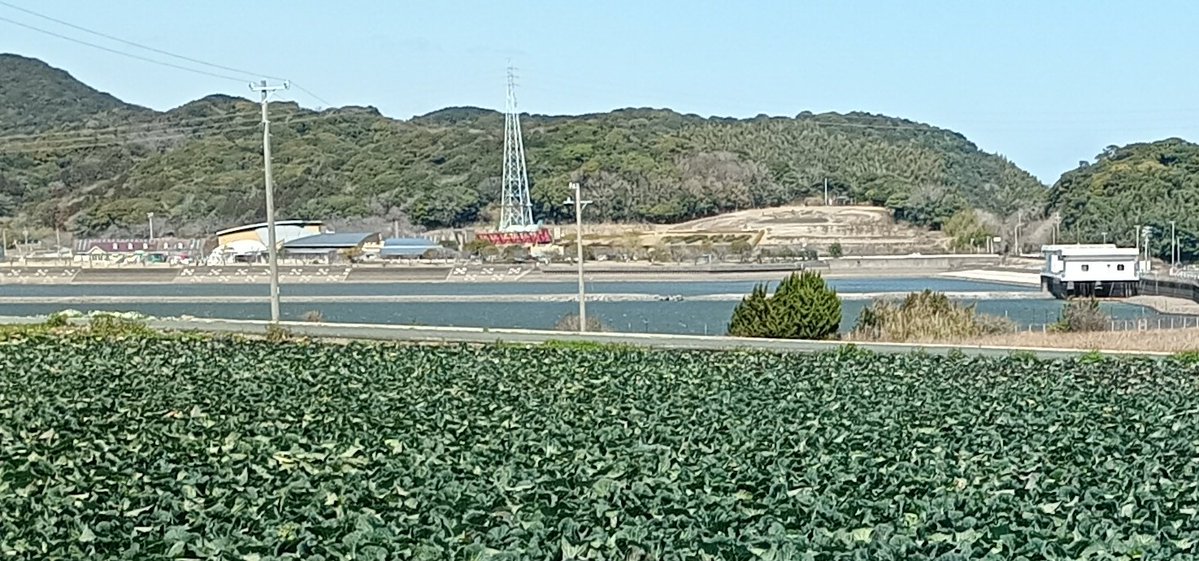 ファーさん。 tweet media