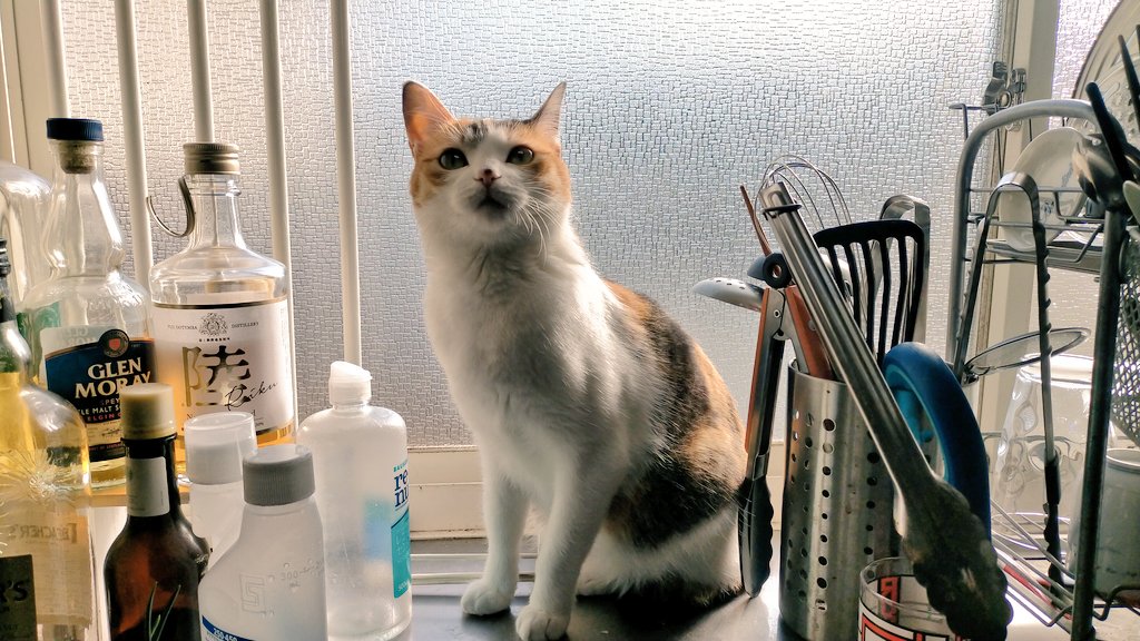 らら暮らし tweet media