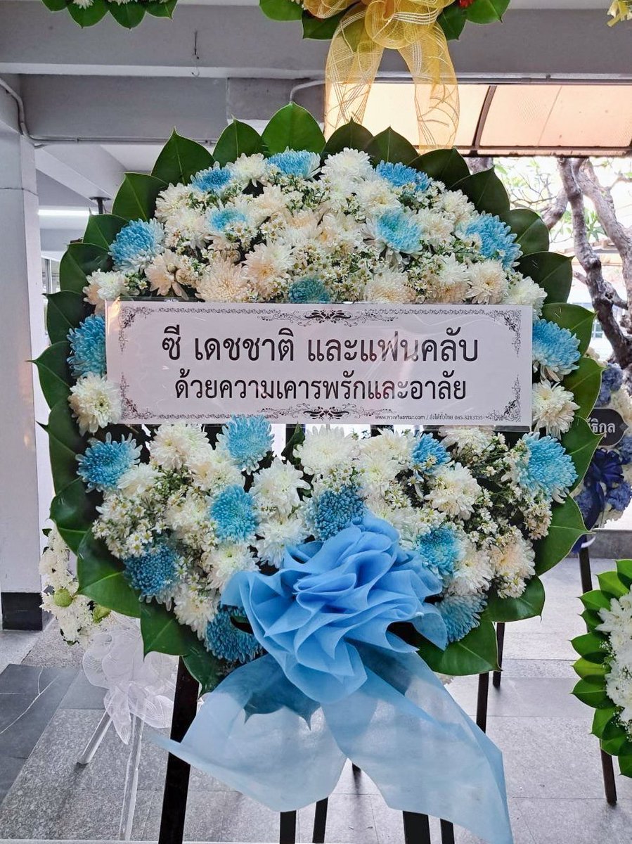 SEATALAY OFFICIAL tweet media