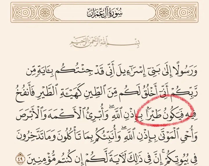 صبر tweet media