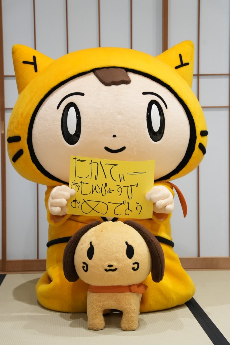 シノビー＠読売テレビ【公式】🍙 tweet media