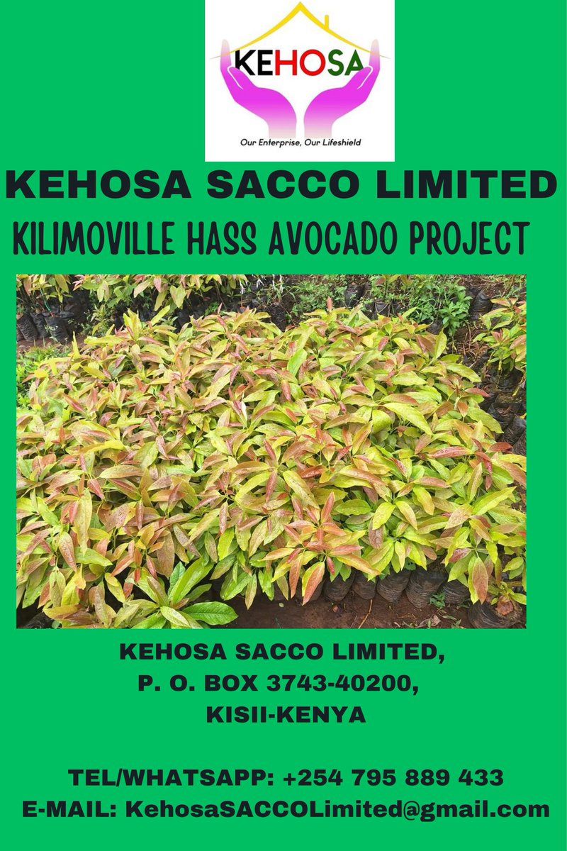 Kehosa Regenerative Organic Farmers Limited tweet media