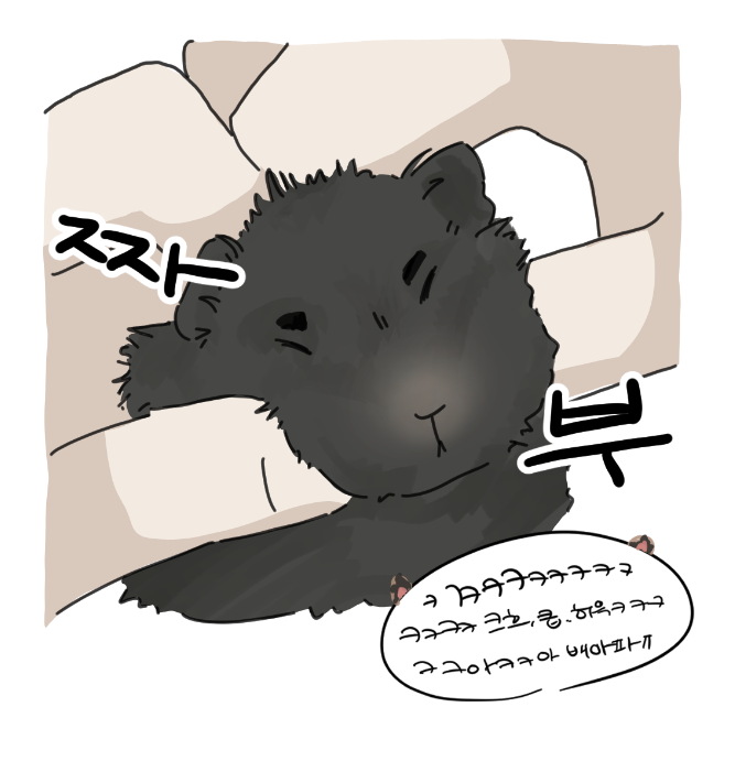 0zzom19's tweet photo. #괴담출근 

햄스터의 날 기념
햄재관 https://t.co/04b7w4n77d