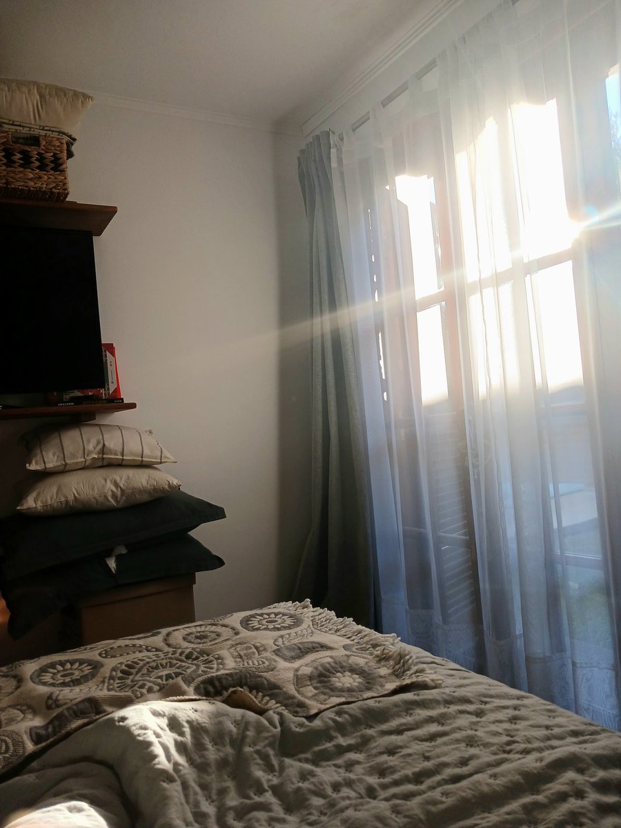 El día me despierta, pero sin urgencias.