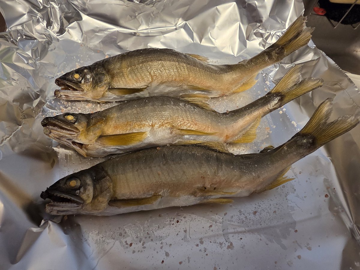 だーよしの旅 tweet media