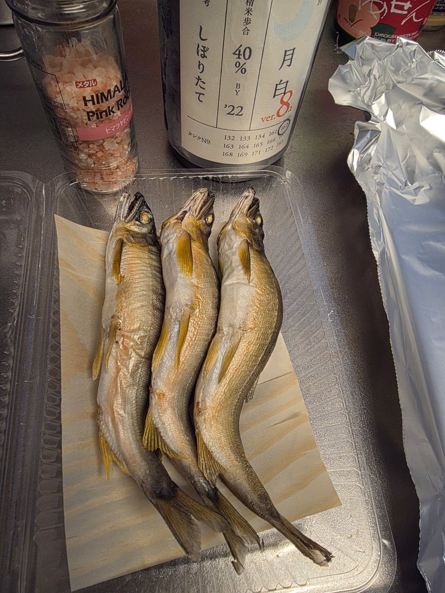 だーよしの旅 tweet media