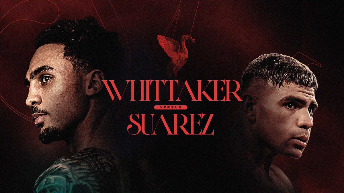 World Boxing DB tweet media