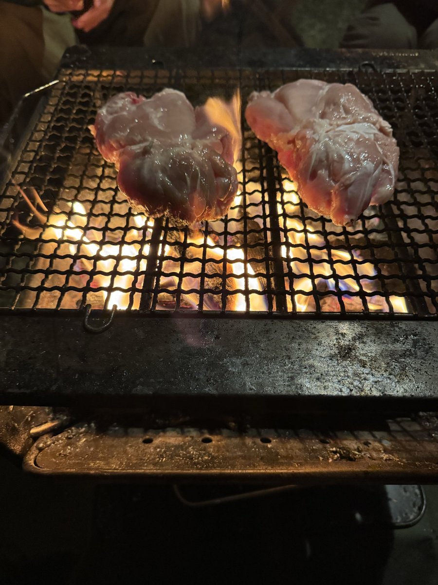 マダムヨシ子 tweet media