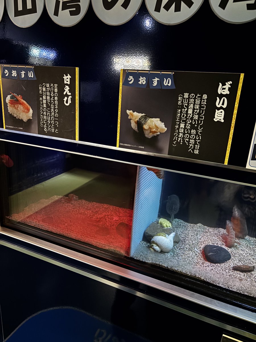 白イルカ tweet media