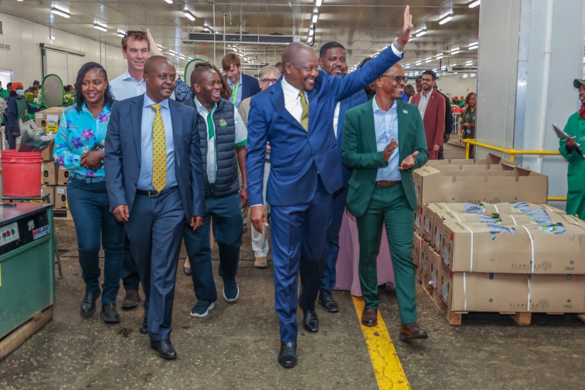 Z͓̽A͓̽C͓̽K͓̽™️💎 tweet media