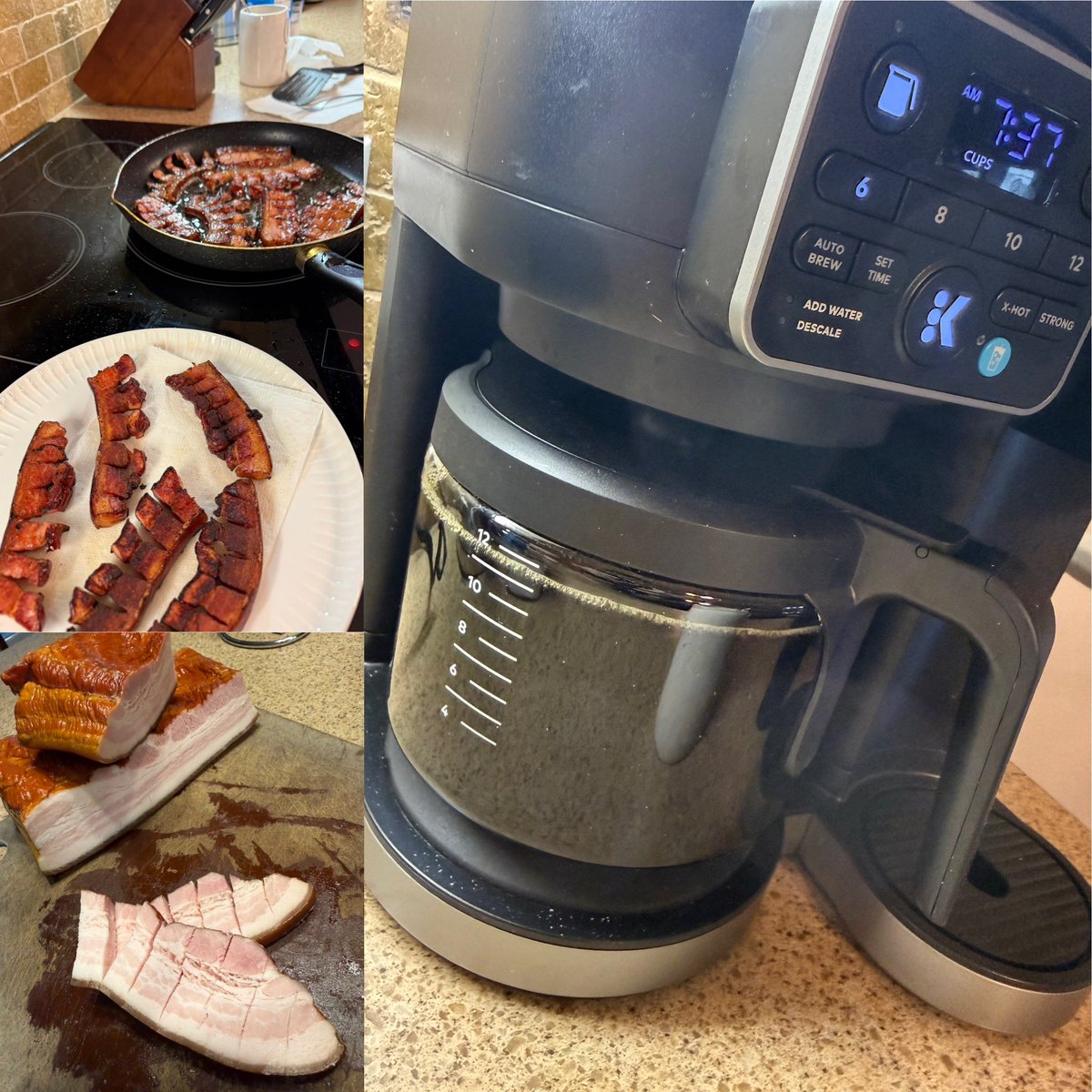 🧟‍♀️ Apocalypse Bait tweet media