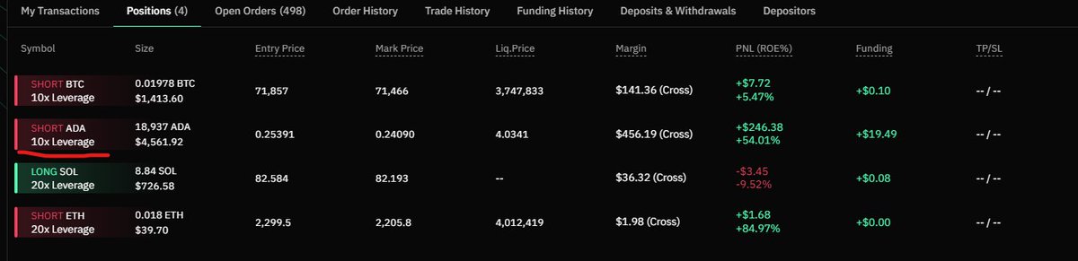 Free Stables tweet media