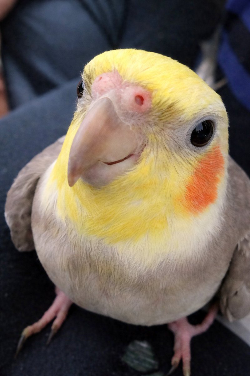 またおもしろいフォルムになってるえへへ園児