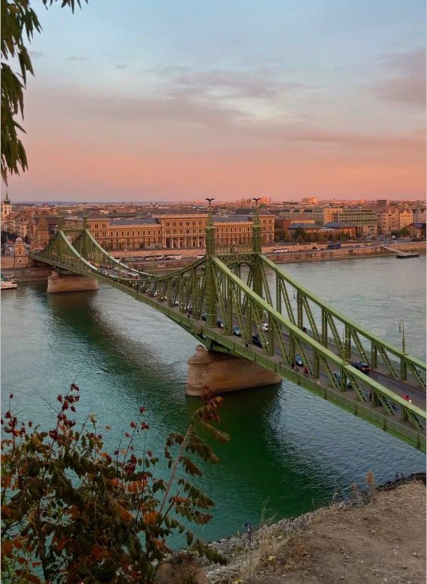 WORLD 2026 🌊 tweet media