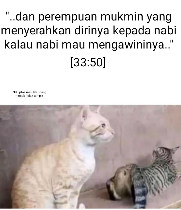 freethinker.id🇮🇩 tweet media