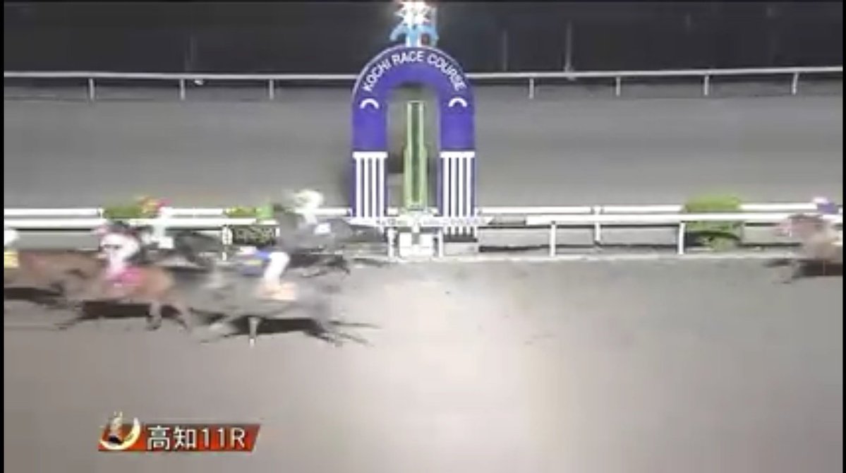 とろちん tweet media