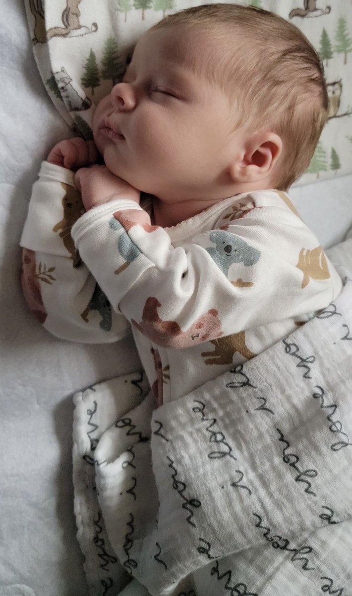 Bem vinda, meu amor!🩷