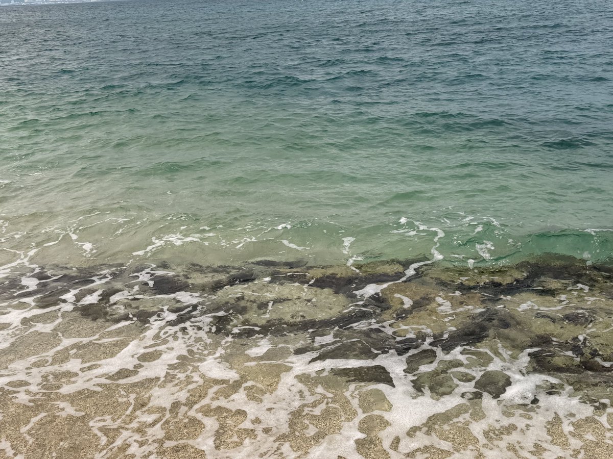 ゆう　JapanJam5/2・5/3 tweet media