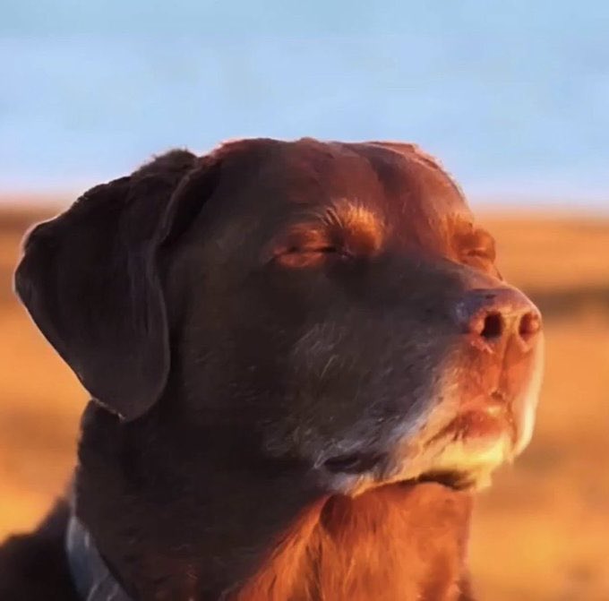 i’m so sorry😭😭😭