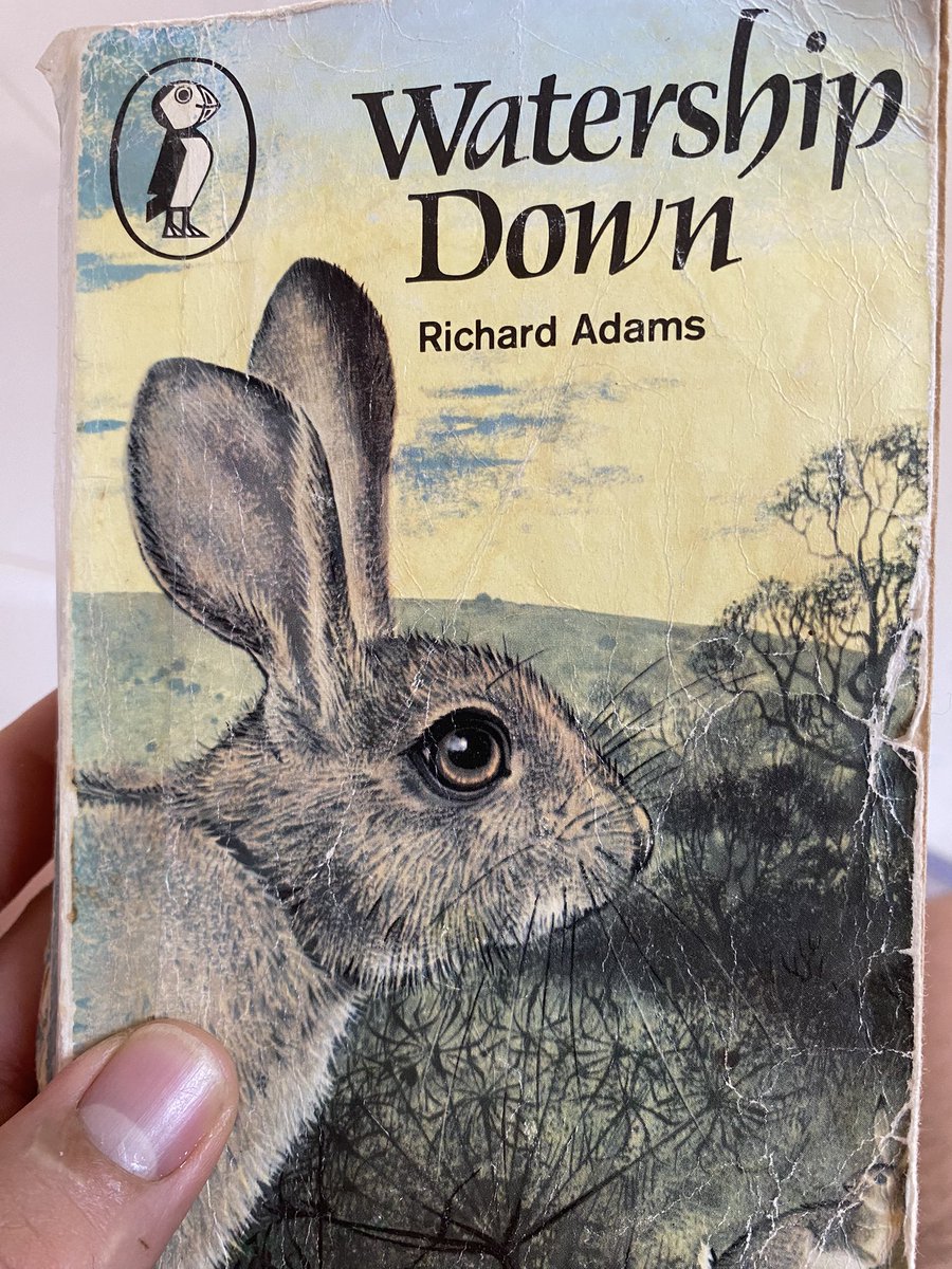 Manfuego tweet media