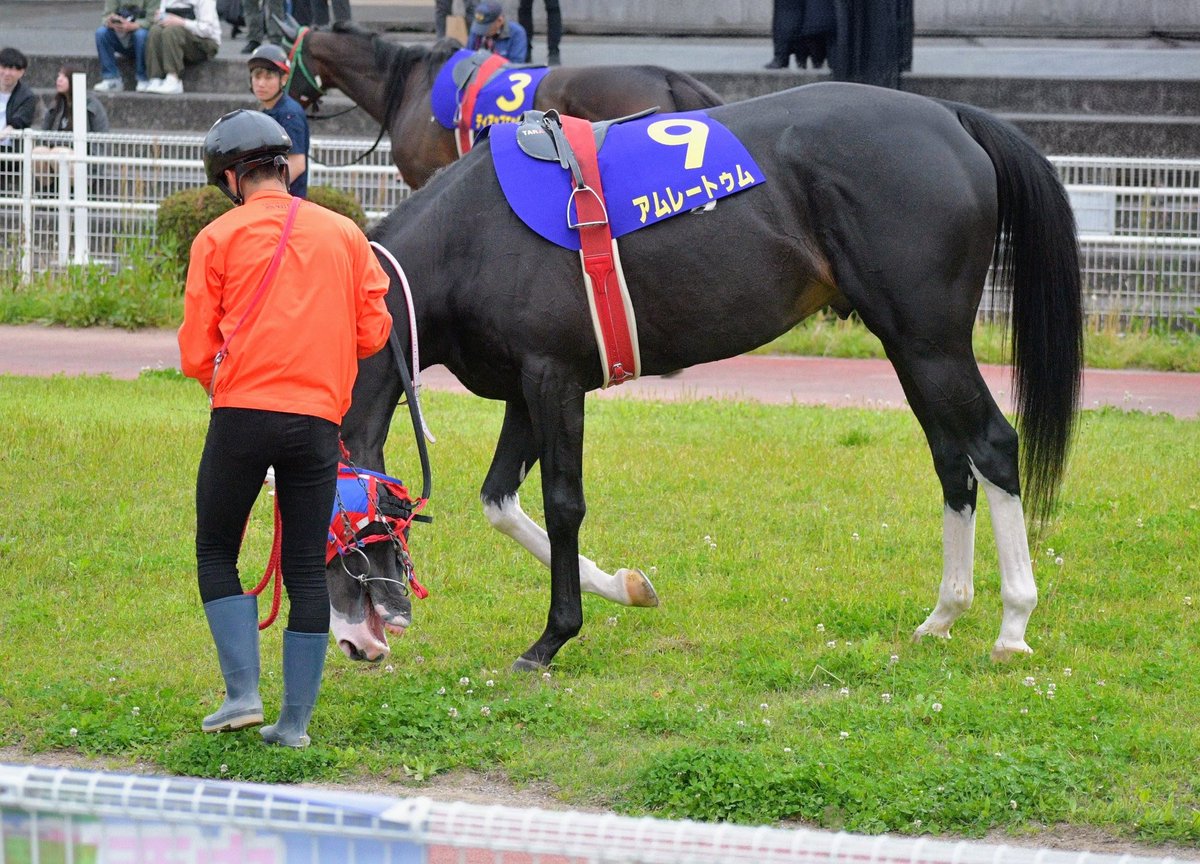 キリン tweet media