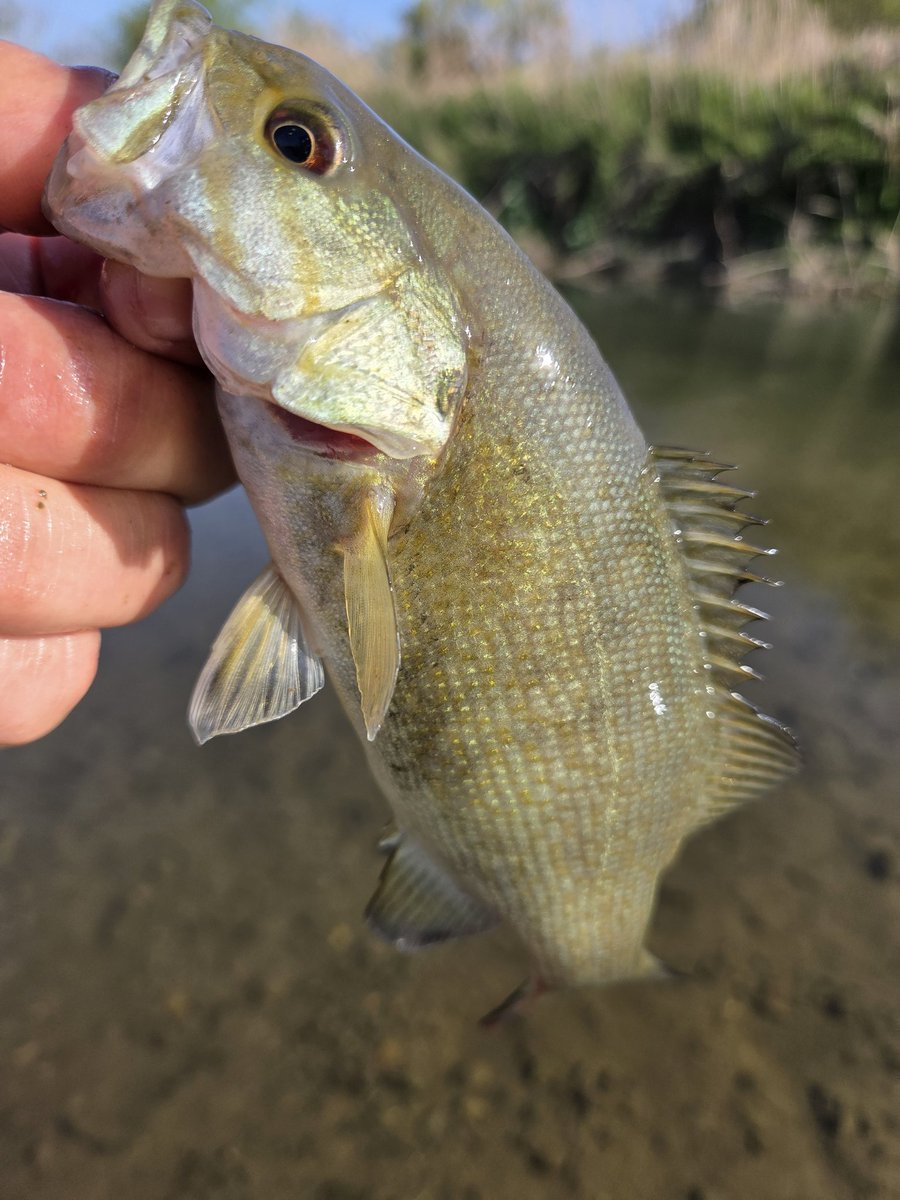 クマゴロ🐻 tweet media