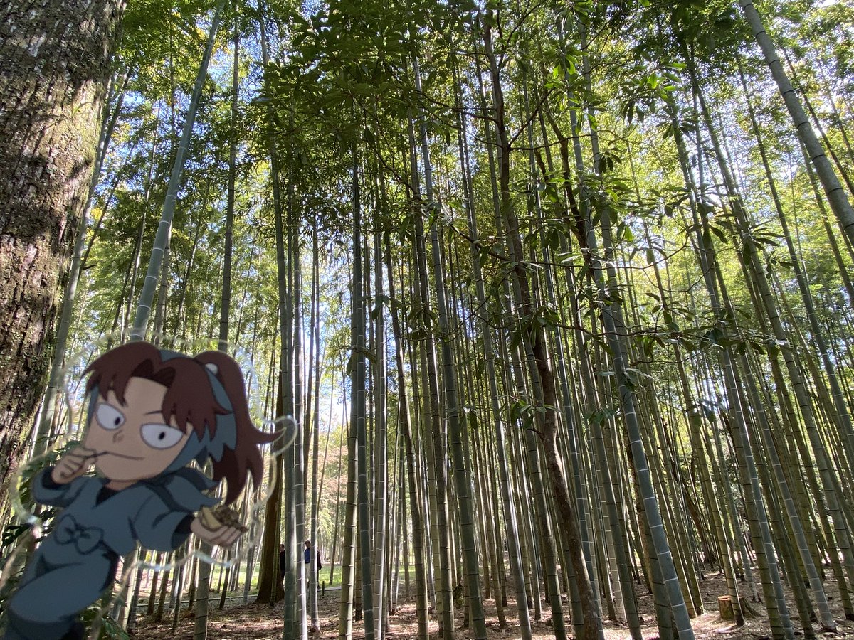 どあ🚪 ×低浮上× tweet media