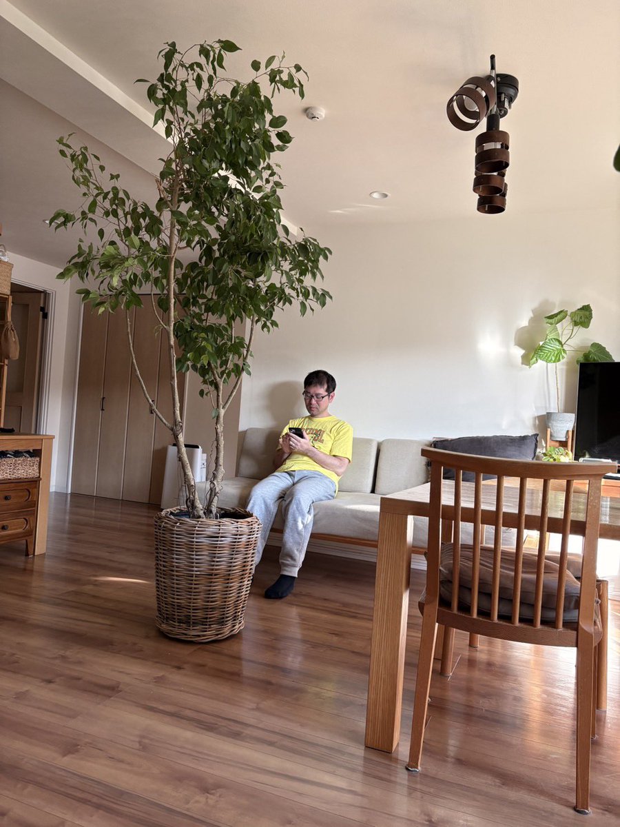 Spring_Sun01's tweet photo. リビングの模様替えででっかい木が置かれました
緑はいいですね #インテリア #植物 #リビング https://t.co/aH9OEsFPXP