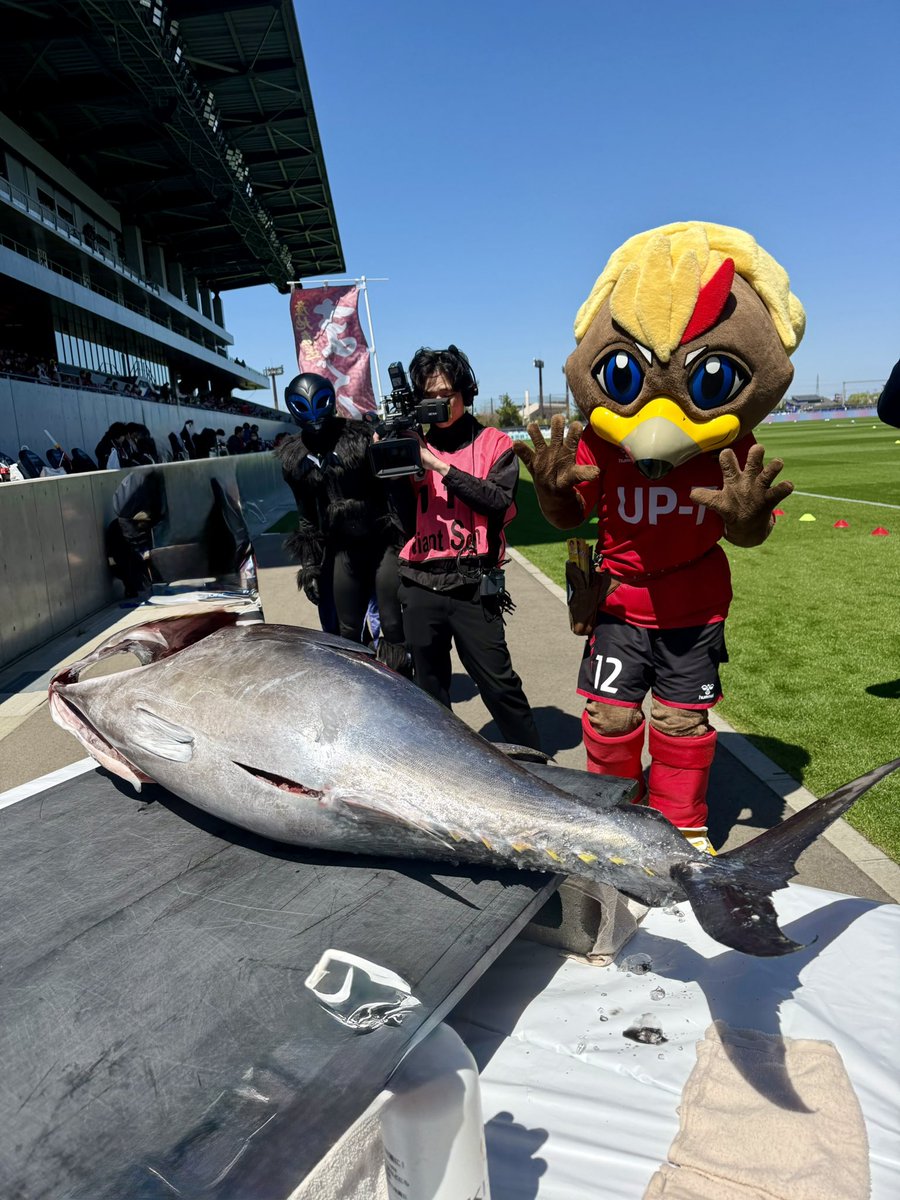 辰巳未来春🦸🏻‍♀️ほくりくアイドル部 tweet media