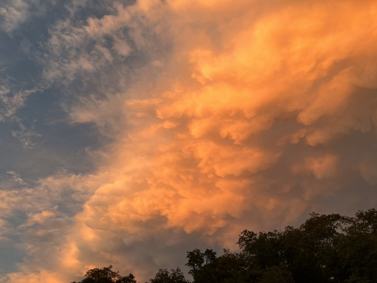 DDBA era ⁷ tweet media