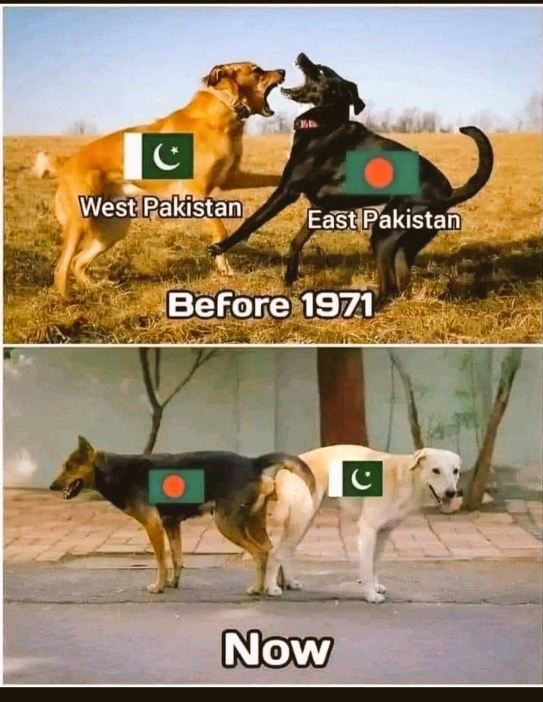 Jay Patel tweet media