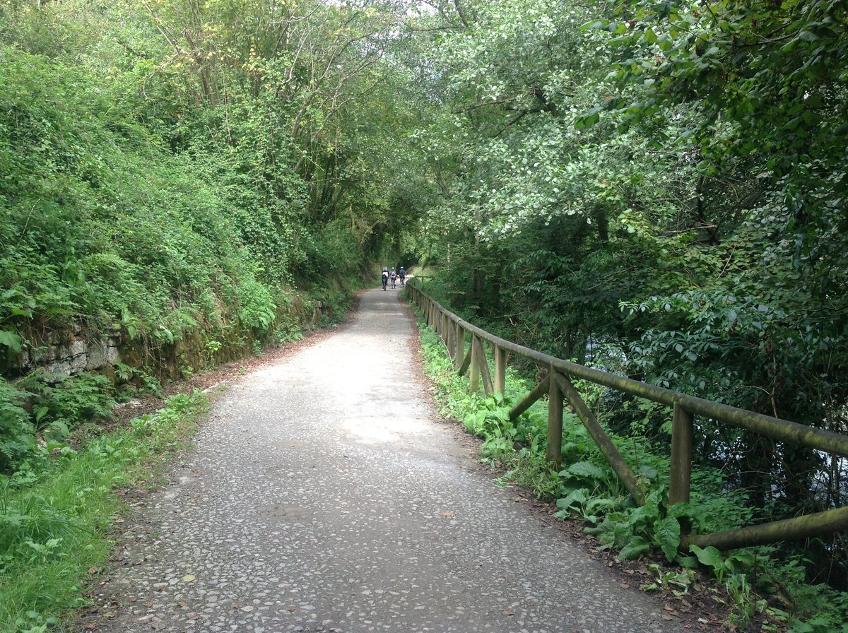 sendadeloso's tweet photo. Senda del Oso  #Proaza #vallesdeloso #asturias #paraisonatural #naturalezaviva #serenidad #silencio #sendadeloso https://t.co/m07Ev31IPG