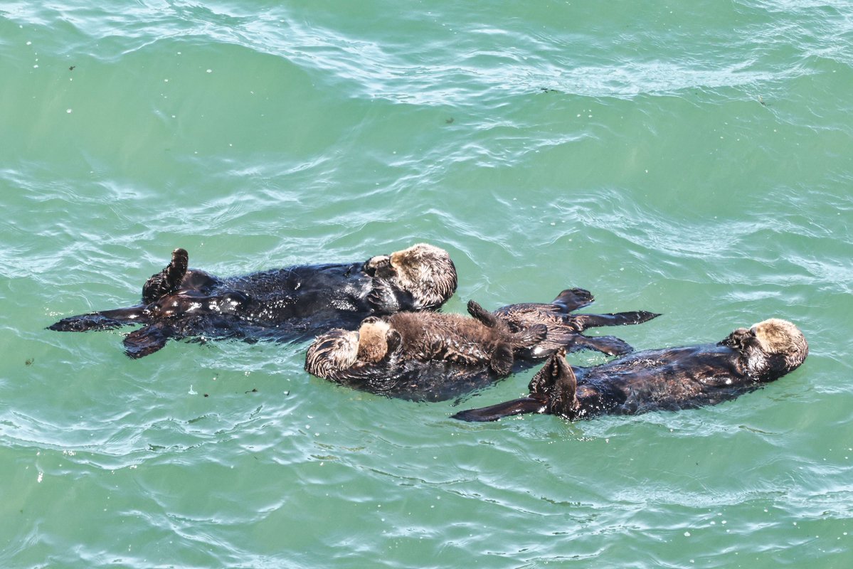 温根湯温泉の人♨️ tweet media