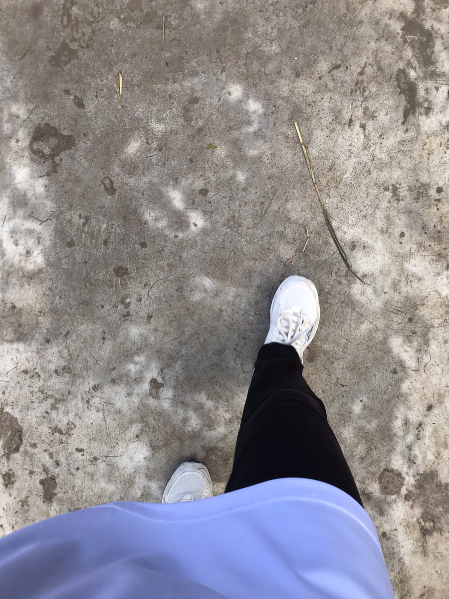 ⋆. 𐙚 ˚ tweet media