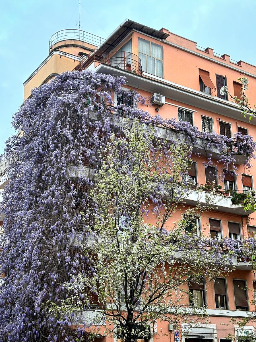 Moheroine tweet media