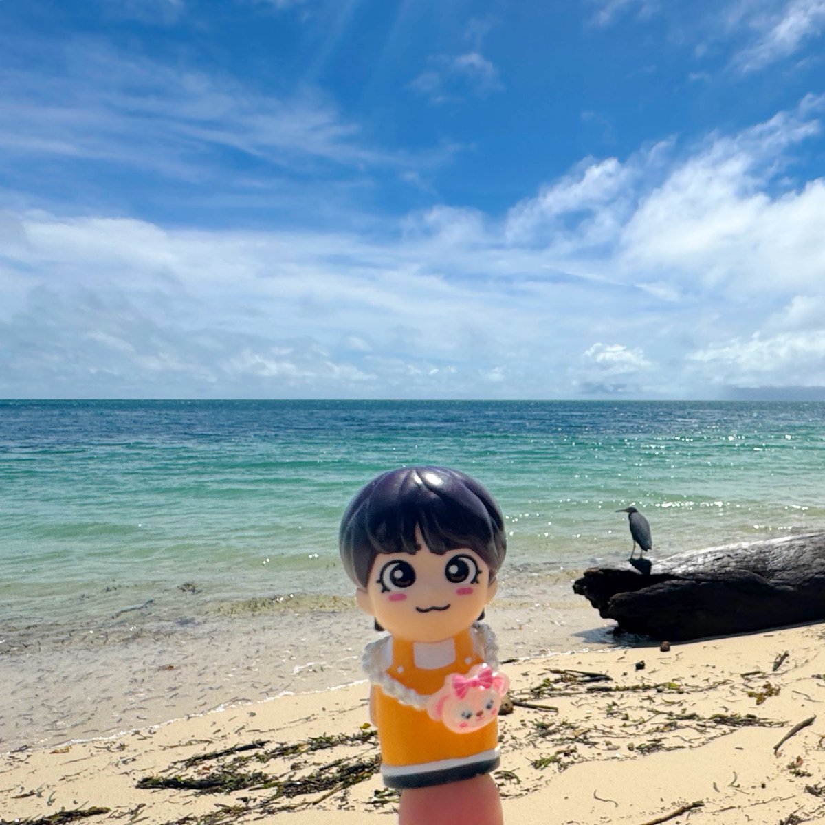 丈くんグリーン島！！
私も先月行ってきた✈️🧡
 #丈談