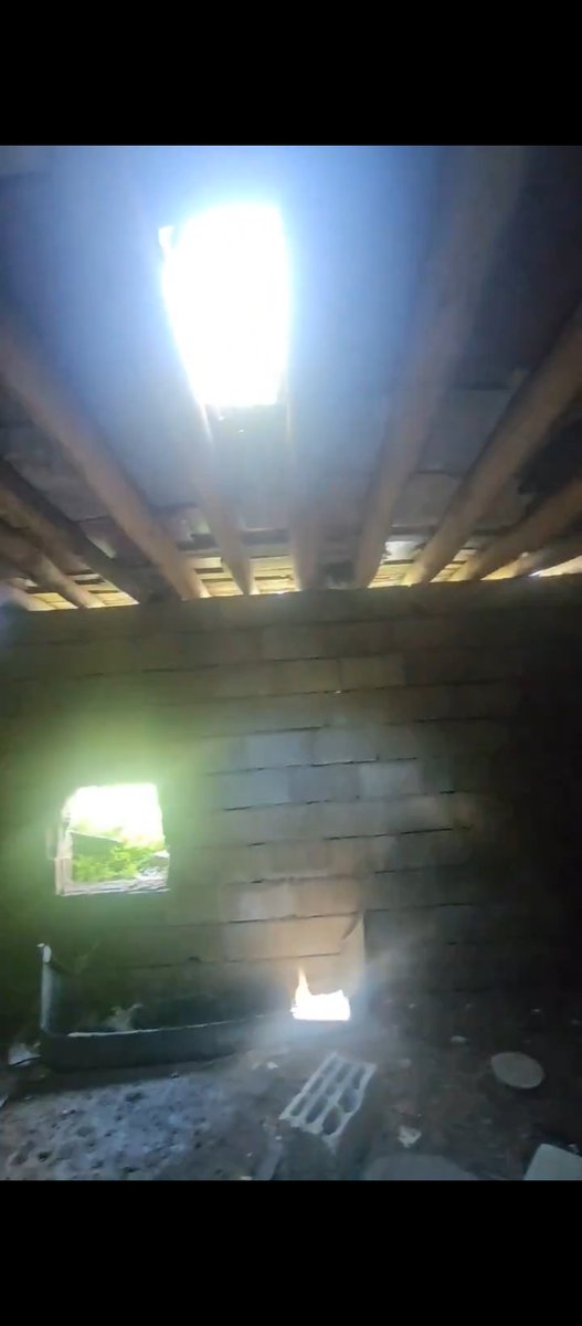 Celal M. tweet media